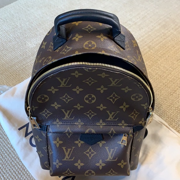 Louis Vuitton Palm Springs PM AUTHENTIC - Picture 10 of 11